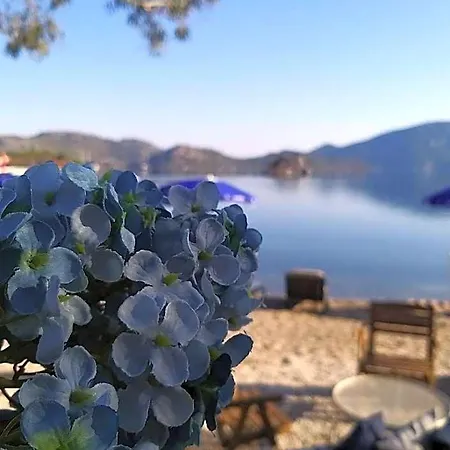 Selimhan Hotel
